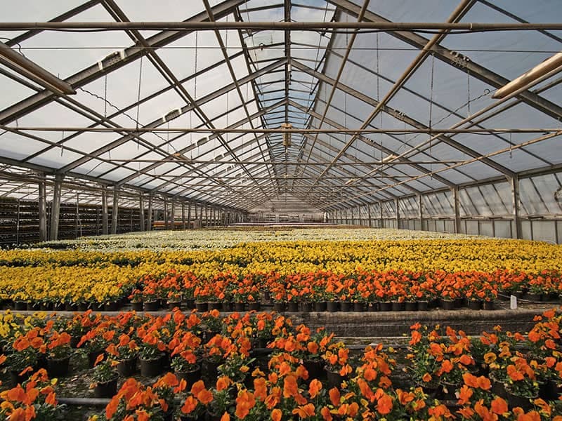Garten- & Landschaftsbau
